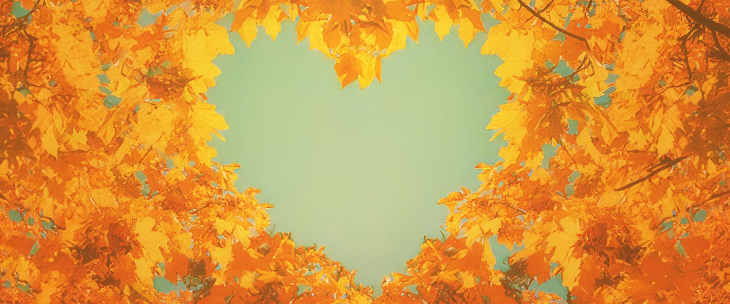 ffs website v2 wide banner november header